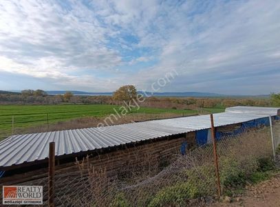 Arsa-Tarla