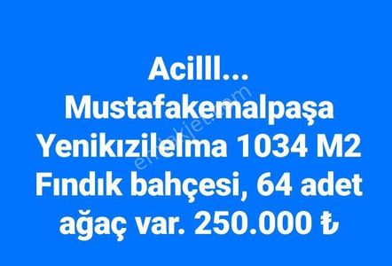 Arsa-Tarla