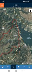 Arsa-Zeytinlik