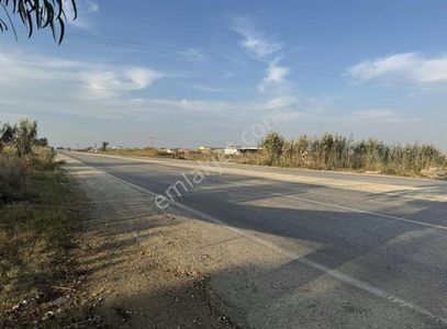 Arsa-Tarla