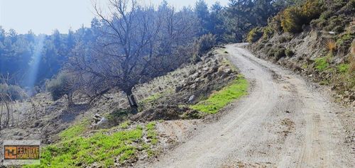 Arsa-Tarla