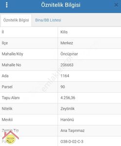 Arsa-Zeytinlik
