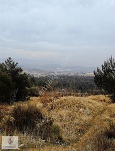 Arsa-Konut İmarlı