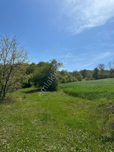 Arsa-Tarla