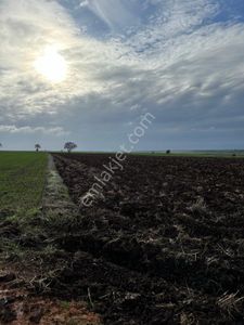 Arsa-Tarla