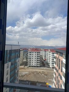 Konut-Daire