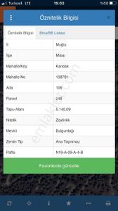 Arsa-Zeytinlik