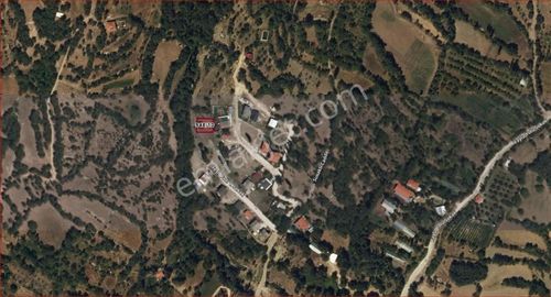 Arsa-Tarla