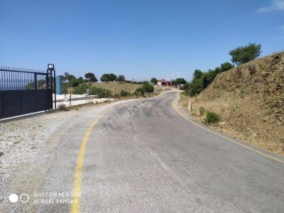 Arsa-Tarla