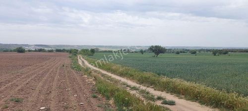 Arsa-Tarla