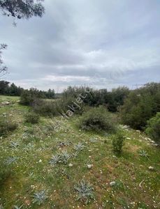Arsa-Tarla