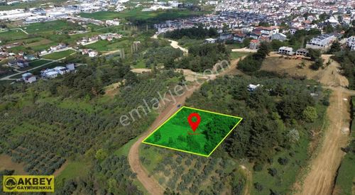 Arsa-Villa İmarlı