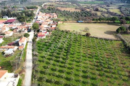 Arsa-Zeytinlik
