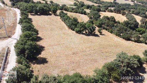 Arsa-Tarla