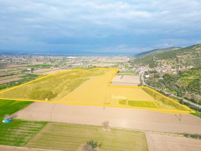 Arsa-Tarla