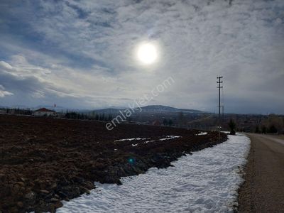 Arsa-Tarla