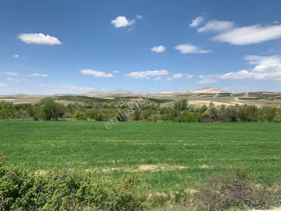 Arsa-Tarla