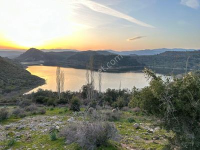 Arsa-Tarla
