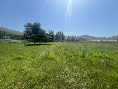 Arsa-Tarla