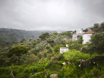 Arsa-Zeytinlik