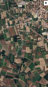 Arsa-Tarla