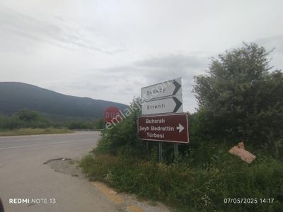 Arsa-Zeytinlik