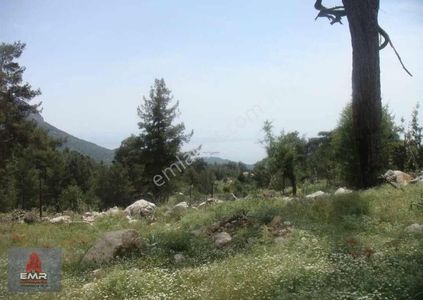 Arsa-Konut İmarlı