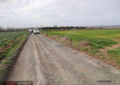 Arsa-Tarla