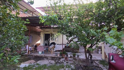 Konut-Müstakil Ev