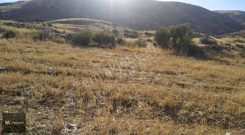 Arsa-Tarla