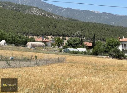 Arsa-Tarla