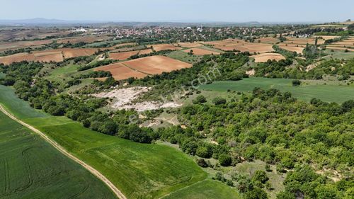 Arsa-Tarla