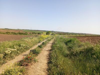 Arsa-Tarla