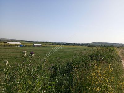 Arsa-Tarla