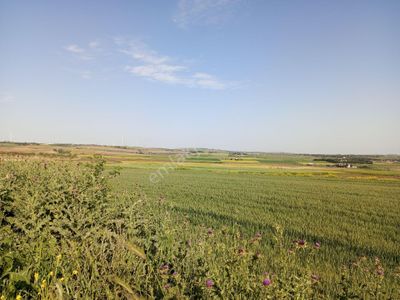 Arsa-Tarla