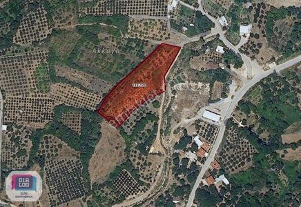Arsa-Villa İmarlı