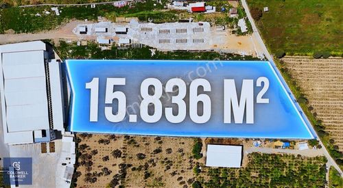Arsa-Depo, Antrepo İzinli
