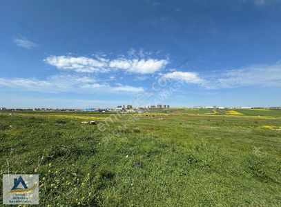 Arsa-Tarla