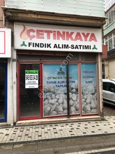 İşyeri-Dükkan & Mağaza