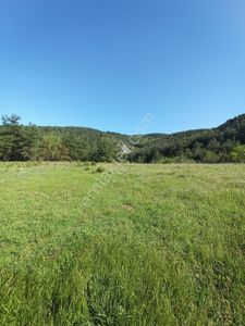 Arsa-Tarla