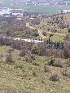 Arsa-Konut İmarlı