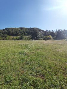 Arsa-Tarla