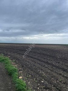 Arsa-Tarla