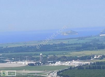 Arsa-Zeytinlik