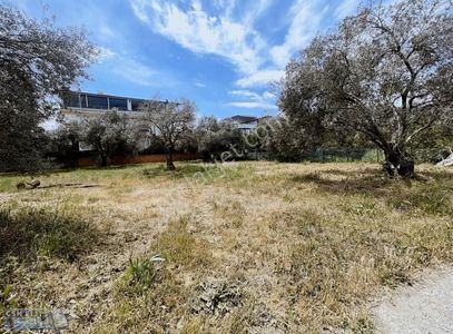 Arsa-Villa İmarlı