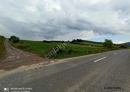 Arsa-Tarla