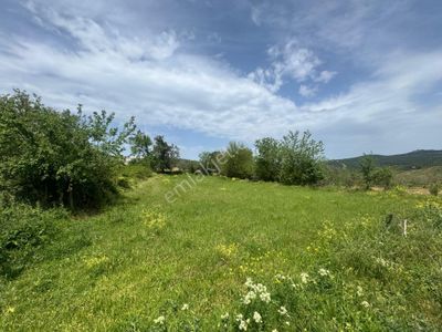 Arsa-Bağ & Bahçe