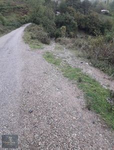 Arsa-Muhtelif Arsa