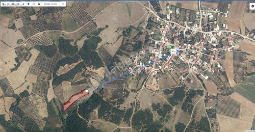 Arsa-Tarla