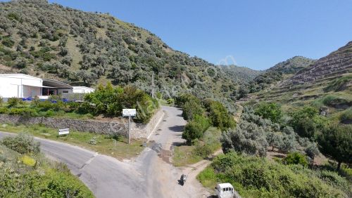 Arsa-Zeytinlik